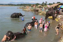 nepal-kapiel-sloni.jpg