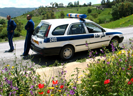 algieria-policja.jpg
