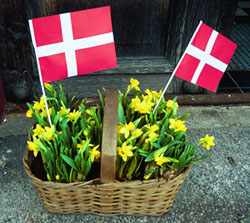 bornholm-flagi.jpg