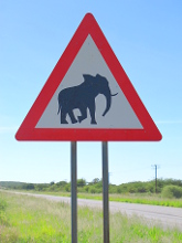 znak-slonie.jpg